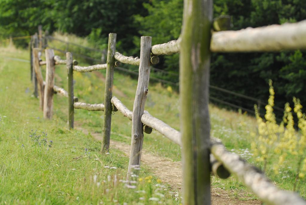 Penzion U Strakatého Koně Blansko Exterior foto
